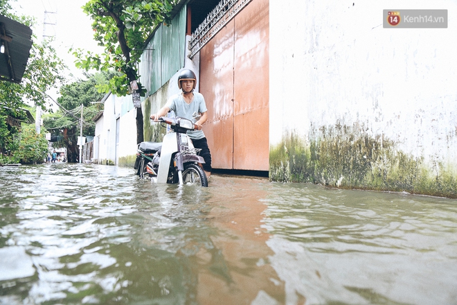 Cảnh tượng bi hài của người Sài Gòn sau những ngày mưa ngập: Sáng quăng lưới, tối thả cần câu bắt cá giữa đường - Ảnh 5.