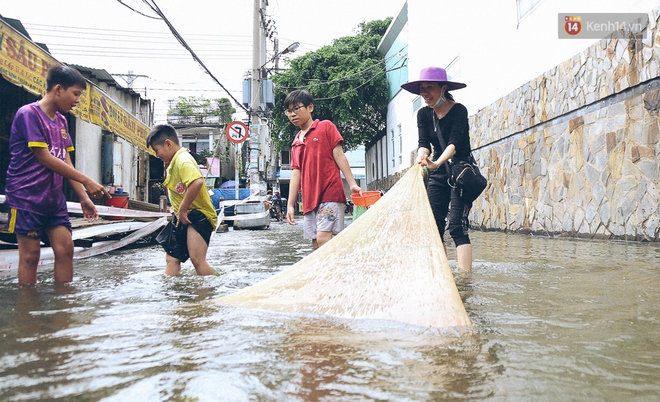 Cảnh tượng bi hài của người Sài Gòn sau những ngày mưa ngập: Sáng quăng lưới, tối thả cần câu bắt cá giữa đường - Ảnh 10.
