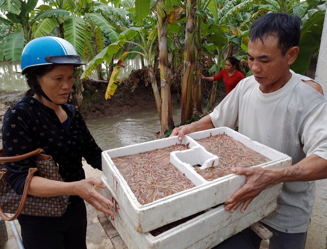 Đặc sản nửa triệu đồng/kg khiến nhiều chị em sợ hãi nhưng khi ăn ai cũng mê - Ảnh 15.