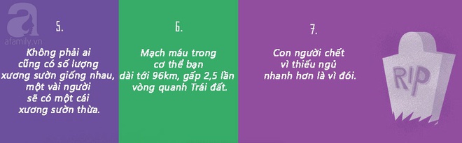 Bất ngờ 30 bí mật về cơ thể con người mà trường học quên không dạy bạn - Ảnh 2.