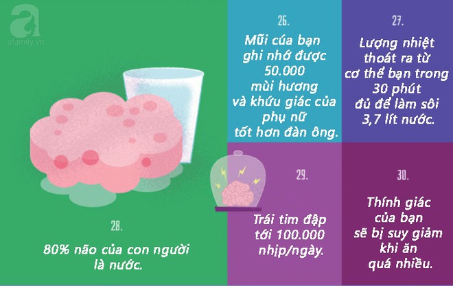 Bất ngờ 30 bí mật về cơ thể con người mà trường học quên không dạy bạn - Ảnh 8.