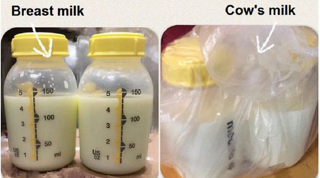 Vắt sữa để trong tủ lạnh công ty, người phụ nữ choáng váng khi nam đồng nghiệp lấy trộm để uống - Ảnh 1.