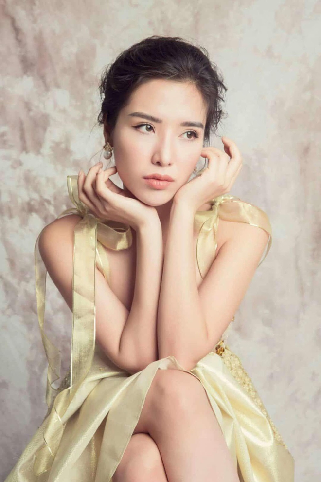 Hoa hậu Thùy Dung lại bỏ lỡ cơ hội thi Hoa hậu Siêu quốc gia 2017 - Ảnh 4.