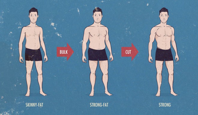 Người skinny fat nên có chế độ tập luyện và dinh dưỡng thế nào để sở hữu thân hình khỏe đẹp? - Ảnh 4.