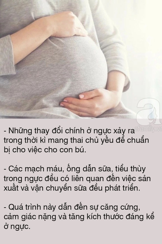 Bạn có thể không biết nhưng đúng là 8 điều này có thể làm cho bộ ngực bạn thay đổi rất nhiều - Ảnh 3.