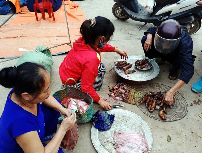 Đột kíchnơi phụ nữ, trẻ nhỏ thích ăn thịt chuột hơn thịt gà giữa Hà Nội - Ảnh 2.