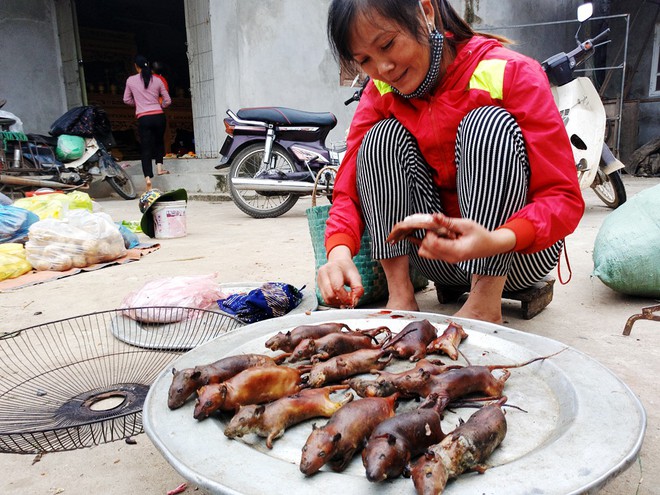 Đột kíchnơi phụ nữ, trẻ nhỏ thích ăn thịt chuột hơn thịt gà giữa Hà Nội - Ảnh 4.