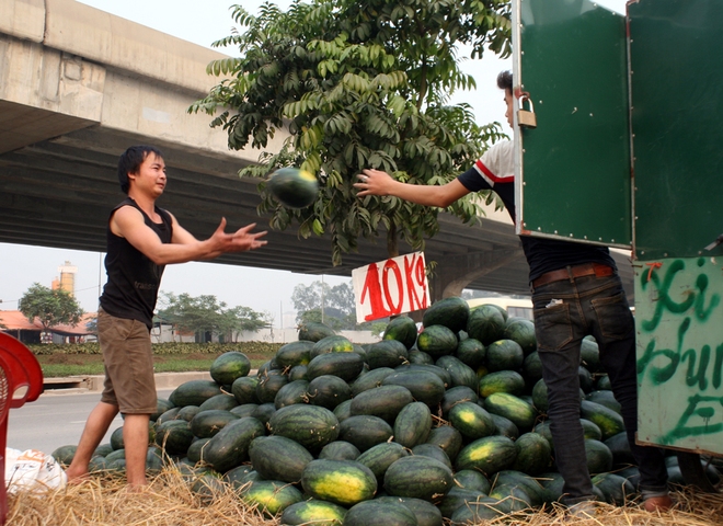 Hà Nội: Chiêu câu khách hiệu quả bậc nhất của chủ những xe hàng rong buôn bán trái cây ven đường - Ảnh 6.