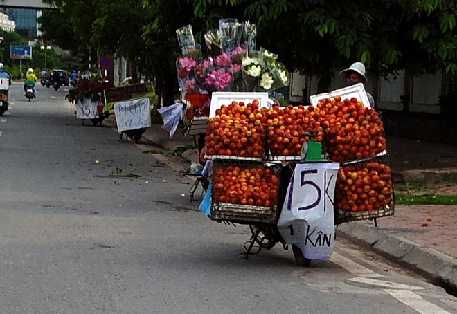 Hà Nội: Chiêu câu khách hiệu quả bậc nhất của chủ những xe hàng rong buôn bán trái cây ven đường - Ảnh 1.