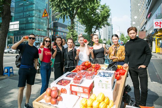 Yên bình chưa được bao lâu Trương Quỳnh Anh lại tức giận vì Tim có người khác - Ảnh 3. Yên bình chưa được bao lâu Trương Quỳnh Anh lại tức giận vì Tim có người khác - Ảnh 3.