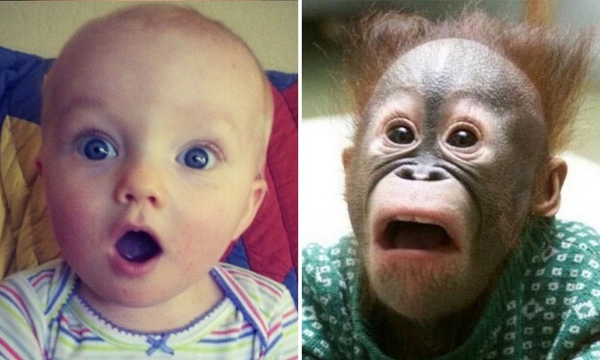 A series of funny photos showing that children and animals are such a lovely pair - Photo 13.