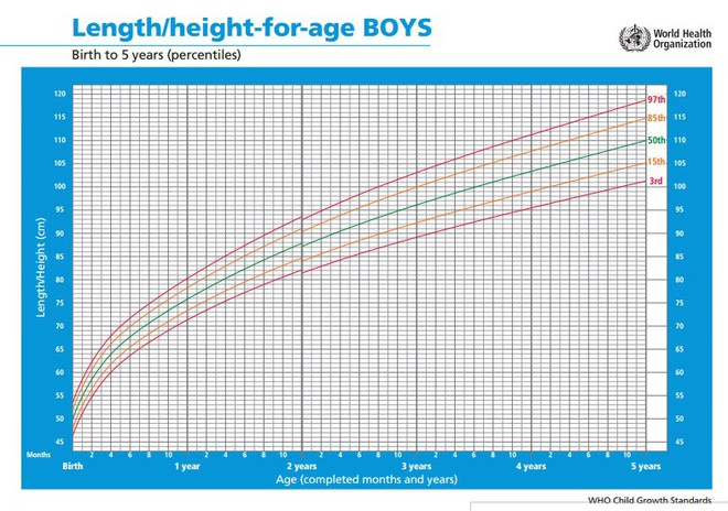 Nhiều mẹ hiểu sai bảng cân nặng của WHO rồi than “con còi xương” mà không biết là phải xem thế này mới đúng - Ảnh 2.