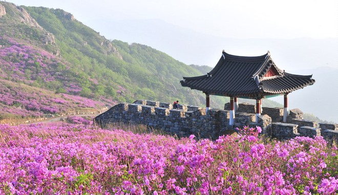 Thì ra vị HLV đáng kính của U23 Việt Nam Park Hang Seo từng sinh ra và lớn lên ở một vùng quê đẹp và yên bình đến vậy - Ảnh 7. Thì ra vị HLV đáng kính của U23 Việt Nam Park Hang Seo từng sinh ra và lớn lên ở một vùng quê đẹp và yên bình đến vậy - Ảnh 7.