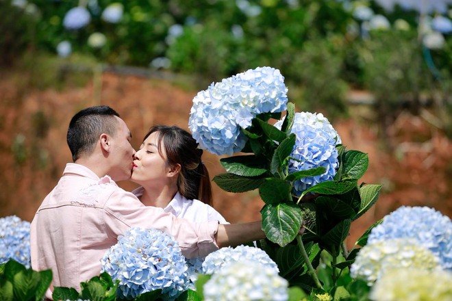 MC Hoàng Linh hạnh phúc như cô gái lần đầu biết yêu trong bộ ảnh cưới tại vườn cẩm tú cầu Đà Lạt - Ảnh 2.