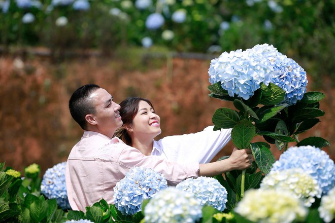 MC Hoàng Linh hạnh phúc như cô gái lần đầu biết yêu trong bộ ảnh cưới tại vườn cẩm tú cầu Đà Lạt - Ảnh 9.