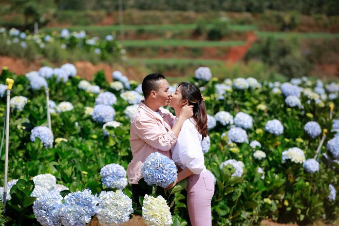 MC Hoàng Linh hạnh phúc như cô gái lần đầu biết yêu trong bộ ảnh cưới tại vườn cẩm tú cầu Đà Lạt - Ảnh 5.