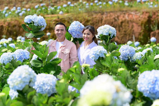 MC Hoàng Linh hạnh phúc như cô gái lần đầu biết yêu trong bộ ảnh cưới tại vườn cẩm tú cầu Đà Lạt - Ảnh 20.