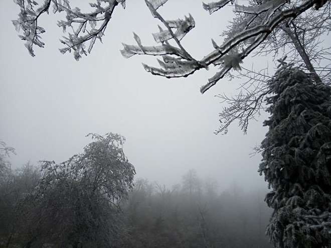 Chùm ảnh: Tuyết đã rơi trên vùng cao Y Tý, cây cối bao phủ bởi băng tuyết dày - Ảnh 10.