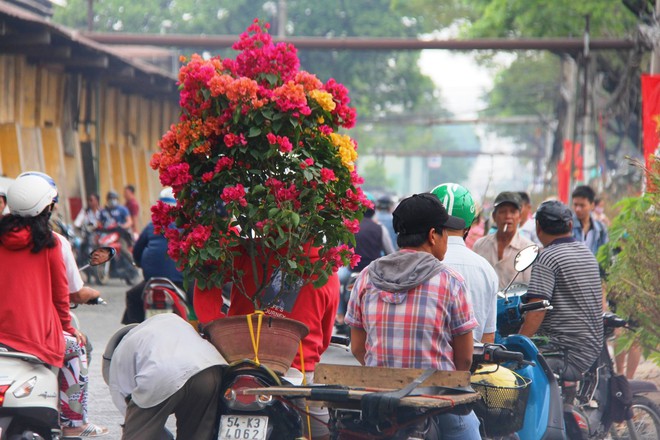 Độc đáo chợ hoa Tết được bày bán trên sông, bến Bình Đông nhộn nhịp ngày cuối năm - Ảnh 13.