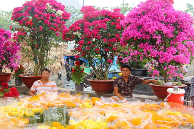 Độc đáo chợ hoa Tết được bày bán trên sông, bến Bình Đông nhộn nhịp ngày cuối năm - Ảnh 11.