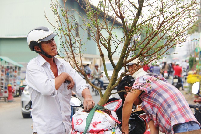 Độc đáo chợ hoa Tết được bày bán trên sông, bến Bình Đông nhộn nhịp ngày cuối năm - Ảnh 14.