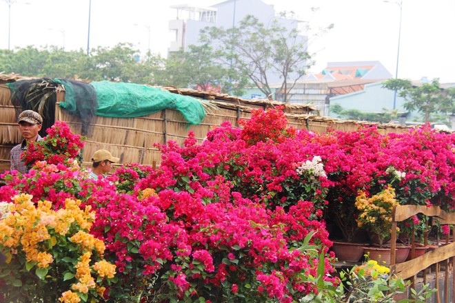 Độc đáo chợ hoa Tết được bày bán trên sông, bến Bình Đông nhộn nhịp ngày cuối năm - Ảnh 15.