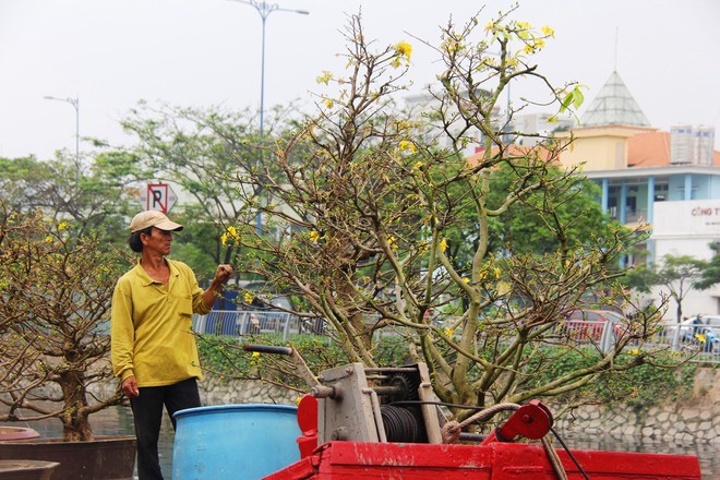 Độc đáo chợ hoa Tết được bày bán trên sông, bến Bình Đông nhộn nhịp ngày cuối năm - Ảnh 16.