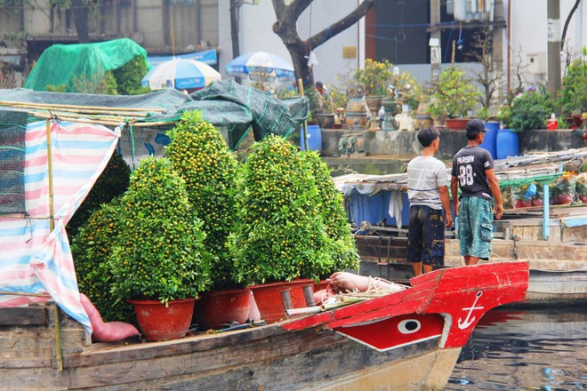 Độc đáo chợ hoa Tết được bày bán trên sông, bến Bình Đông nhộn nhịp ngày cuối năm - Ảnh 4.