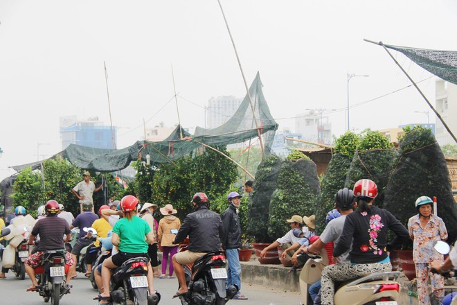 Độc đáo chợ hoa Tết được bày bán trên sông, bến Bình Đông nhộn nhịp ngày cuối năm - Ảnh 6.