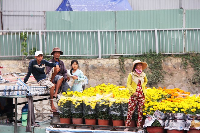 Độc đáo chợ hoa Tết được bày bán trên sông, bến Bình Đông nhộn nhịp ngày cuối năm - Ảnh 7.