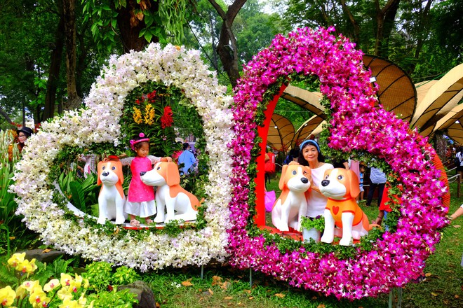 Sài Gòn khai màn hội hoa xuân, tiểu cảnh chó khổng lồ hút khách  - Ảnh 8.