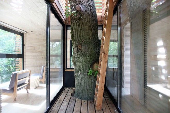 Độc đáo ngôi nhà gỗ trên cây sồi trăm tuổi - Ảnh 4.