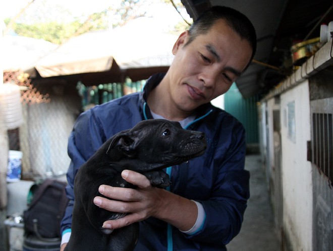 Gặp người đàn ông gắn bó với nghề nuôi chó Phú Quốc hơn 30 năm tại Hà Nội - Ảnh 6.