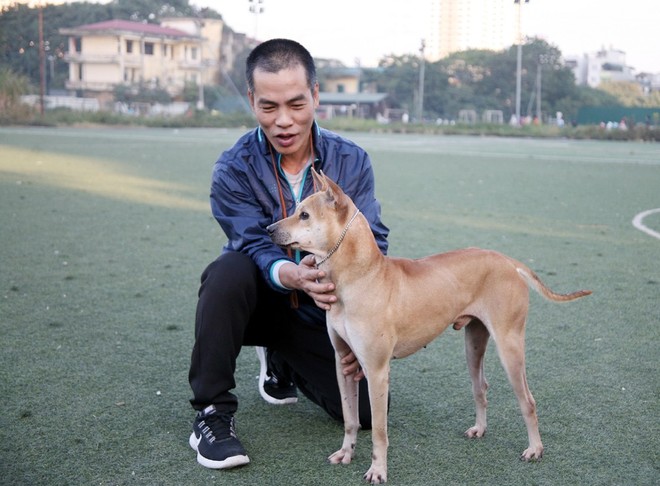 Gặp người đàn ông gắn bó với nghề nuôi chó Phú Quốc hơn 30 năm tại Hà Nội - Ảnh 8.