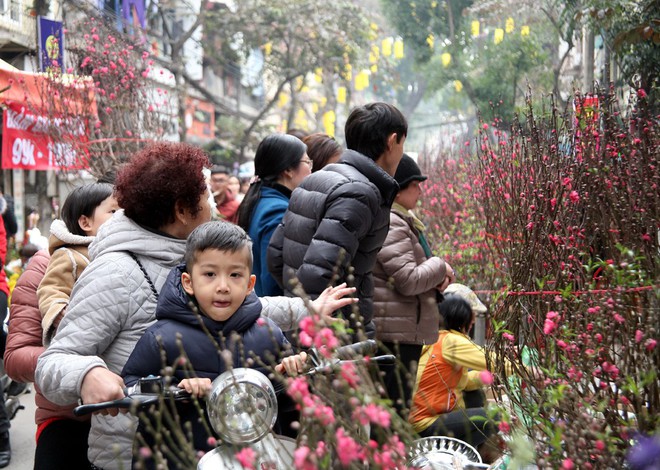 Cảnh nhộn nhịp, huyên náo tại chợ hoa cổ nhất Hà Nội ngày sát Tết - Ảnh 6.