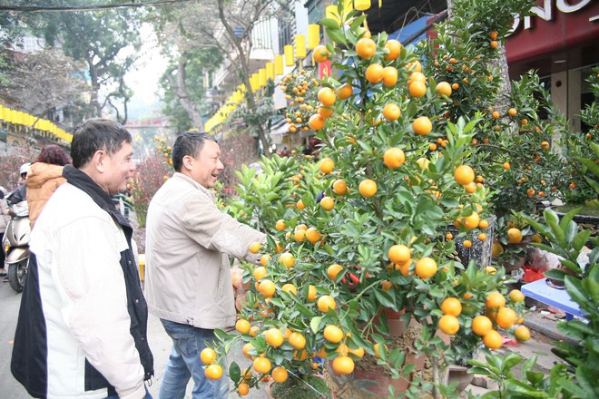Cảnh nhộn nhịp, huyên náo tại chợ hoa cổ nhất Hà Nội ngày sát Tết - Ảnh 15.