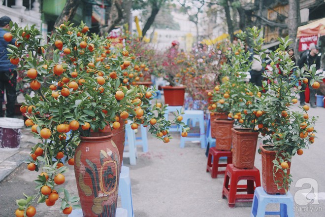 Những ngày cuối năm, đi chợ Tết để mua về niềm vui, gợi về ký ức thời ông bà anh - Ảnh 34.