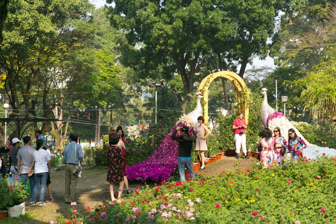 Người Sài Gòn nô nức tham quan đường hoa, hội hoa rực rỡ màu sắc - Ảnh 13.