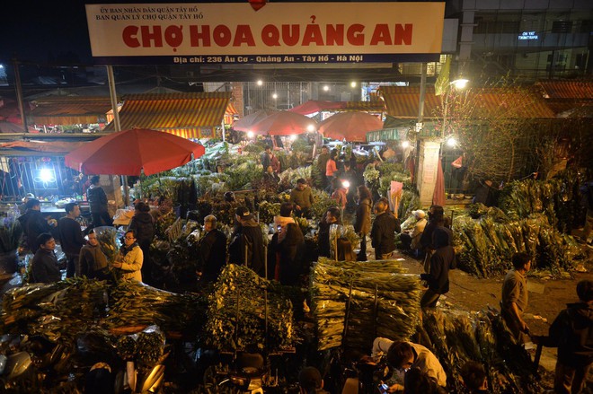 Chợ hoa Quảng An tấp nập đêm trước giao thừa - Ảnh 1.