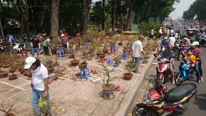 Tới giờ dẹp chợ hoa xuân ở Sài Gòn, cây kiểng bán tháo rẻ như cho nhưng vẫn bị người dân ép giá - Ảnh 1.