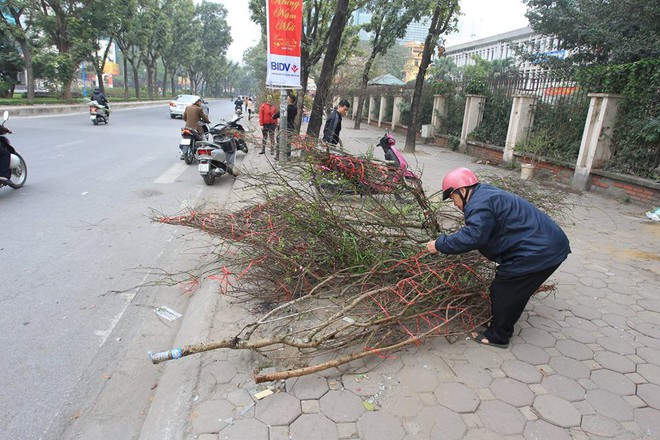 Xót xa cảnh tiểu thương tự tay đập nát chậu hoa chiều 30 Tết vì giá quá rẻ - Ảnh 14.