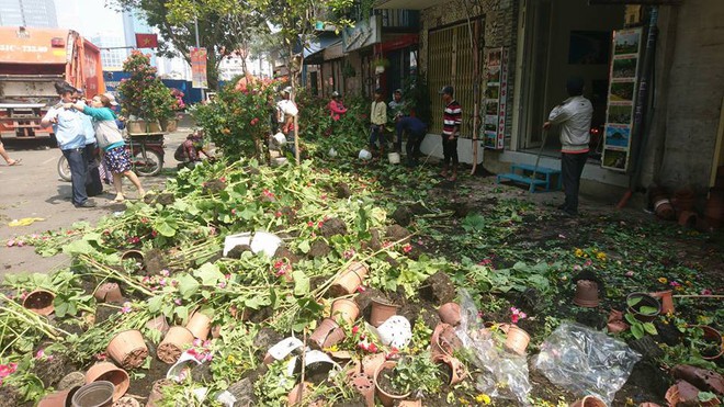 Tiểu thương đập bỏ hoa phản đối thói xin hoa giờ cuối, nhiều người Sài Gòn vẫn đến tranh thủ lượm hoa về - Ảnh 1.