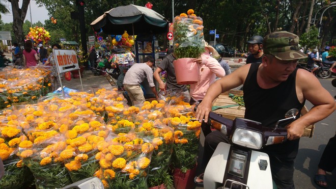 Tới giờ dẹp chợ hoa xuân ở Sài Gòn, cây kiểng bán tháo rẻ như cho nhưng vẫn bị người dân ép giá - Ảnh 2.