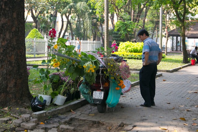 Tiểu thương đập bỏ hoa phản đối thói xin hoa giờ cuối, nhiều người Sài Gòn vẫn đến tranh thủ lượm hoa về - Ảnh 6.