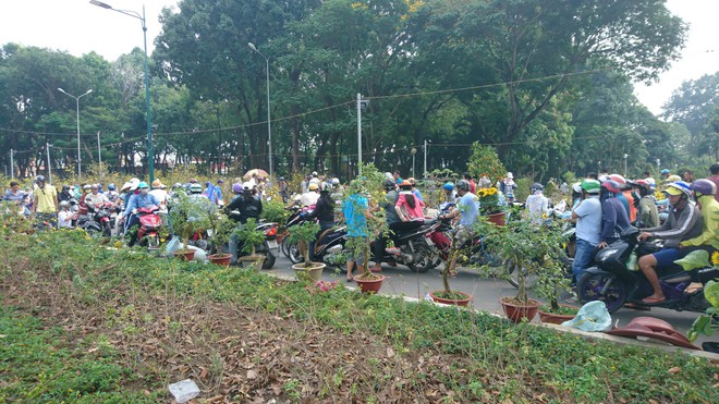 Tới giờ dẹp chợ hoa xuân ở Sài Gòn, cây kiểng bán tháo rẻ như cho nhưng vẫn bị người dân ép giá - Ảnh 11.