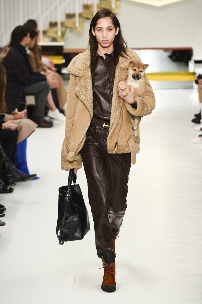 Tuần lễ thời trang Milan: Người mẫu vừa catwalk vừa bế trên tay 1 chú tiểu Tuất cực đáng yêu - Ảnh 5.