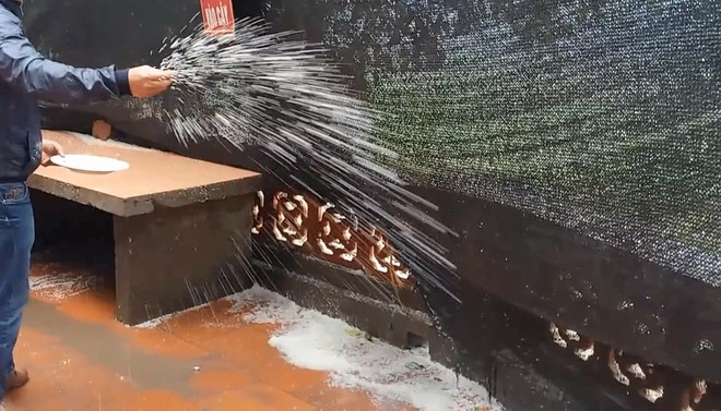 Hà Nội: Người dân vô tư rắc muối, gạo ngay trước biển cấm ở đền Và - Ảnh 3. Hà Nội: Người dân vô tư rắc muối, gạo ngay trước biển cấm ở đền Và - Ảnh 3.