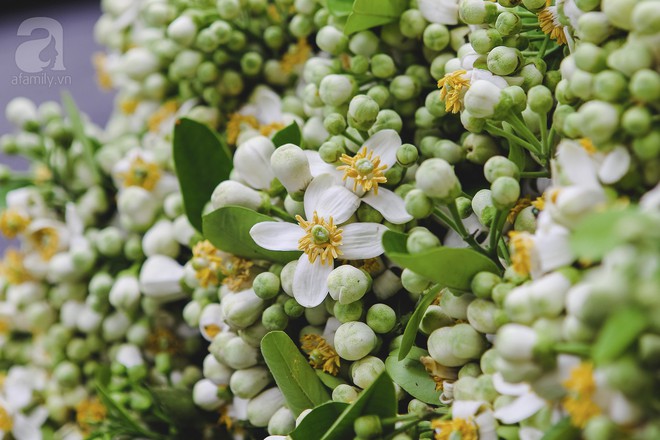 Hà Nội mùa thơm thanh tao với sắc trắng tinh khôi của hoa bưởi - Ảnh 14.