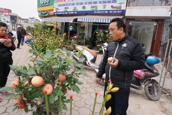 Bonsai táo Trung Quốc bị đồn có độc: Ông chủ vặt quả ăn tại chỗ - Ảnh 3.