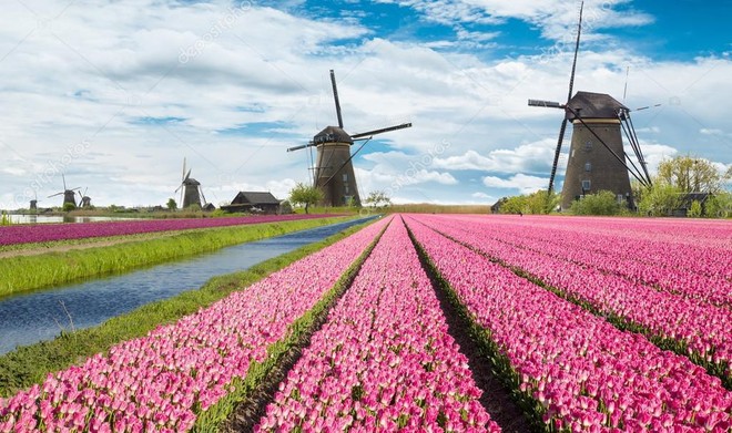Phong cảnh mùa xuân đẹp rực rỡ ở khắp nơi trên thế giới - Ảnh 30.
